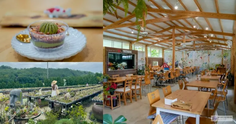 桃園市龍潭區美食，山裡的盆栽世界與錦鯉，獨特甜點等你探索。