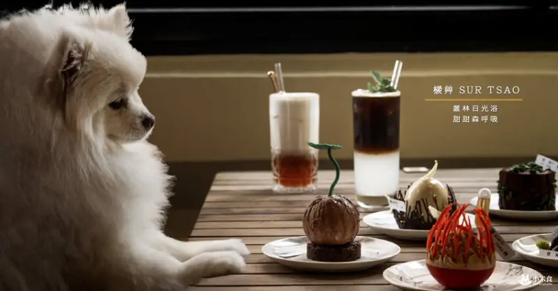 檨艸SUR TSAO｜叢林日光浴。甜甜森呼吸｜美術館下午茶甜點｜台中咖啡廳推薦 - 小米食