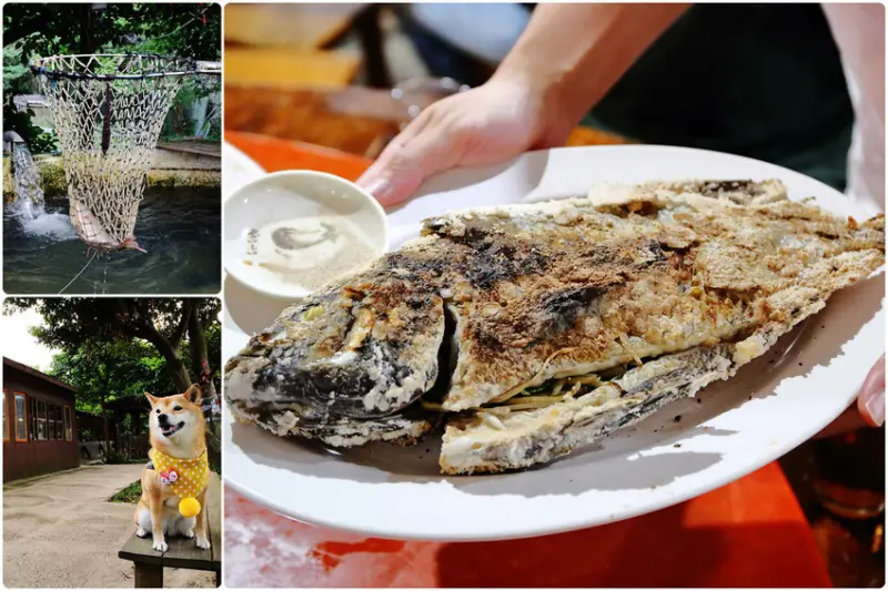 沒預約吃不到！在地人才知道的隱藏版美食，藏在鄉間小路依舊客滿，超大鹽烤魚只要350元！！！