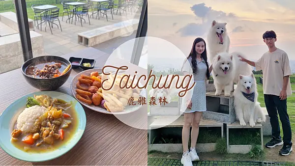 【台中美食】台中夜景第一排鹿雅森林|寵物友善咖啡廳|近距離接觸薩摩耶|絕美夕陽