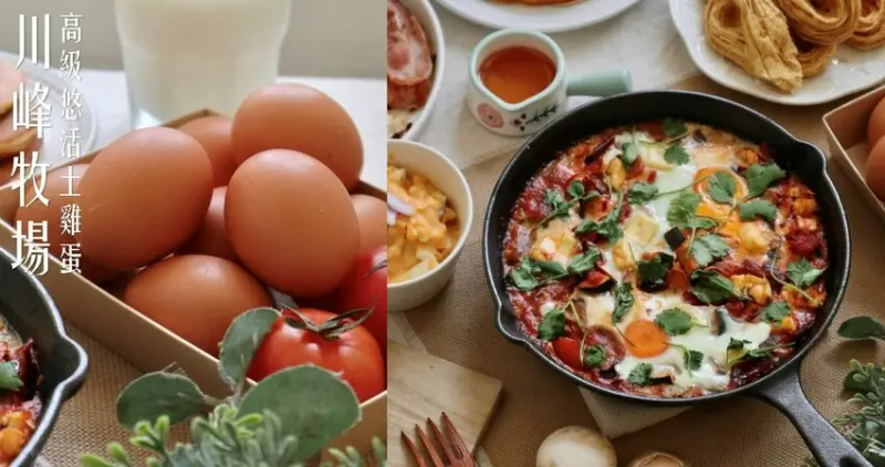 台中新社宅配|川峰牧場．富含營養的悠活土雞蛋&牛樟芝土雞蛋，在家來場簡單又美味的土雞蛋料理盛會