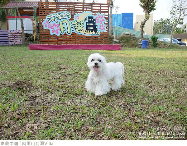 悅灣餐廳蒸食在