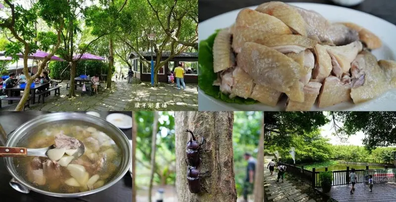 旗竿湖農場 ❙ 觀音山綠竹筍風味餐，土雞也必點，獨角仙生態步道!