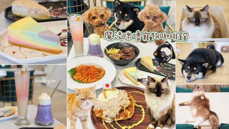【魔法咪嚕寵物咖啡館】被十多隻毛小孩圍繞的寵物友善餐廳你去過了嗎？整體餐點選擇非常多元，低消只要一杯飲料，建議各位事先網路電話預約唷！ - 阿華田的美食日記