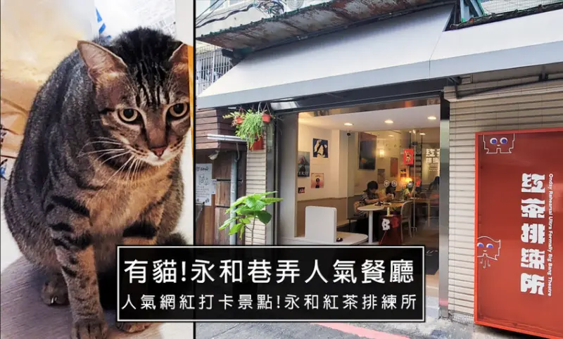 有貓!永和不限時可充電餐廳-紅茶排練所Onday，永和頂溪咖啡讀書餐廳，還有喵喵陪你渡過悠閒下午享受冷氣吹