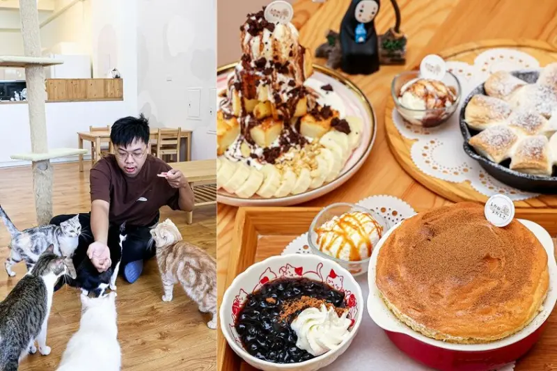 員林新店！藏在透天厝的貓互動店，被一群貓星人包圍超療癒，根本是貓控天堂，必點巨型港式舒芙蕾和金磚蜜糖吐司