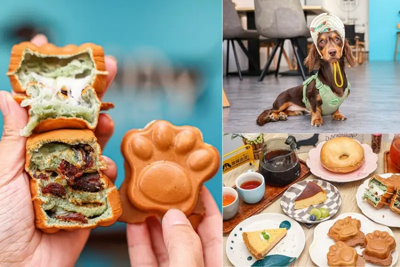 新店！車站旁不限時百元咖啡店，必點狗掌雞蛋糕和手沖咖啡