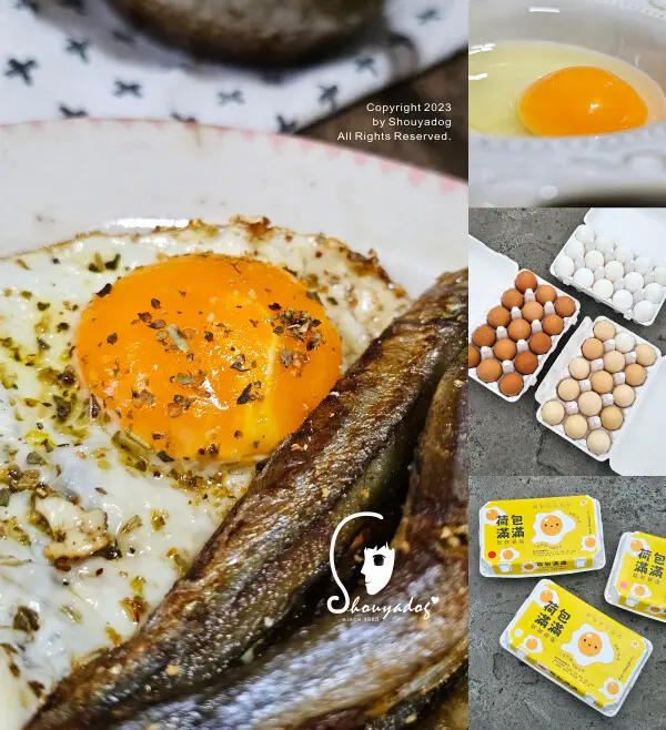 【宅配蛋品】荷包滿滿土雞蛋 開幕慶活動 幸福蛋蛋 買嗨森