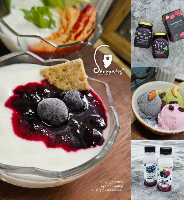 【優格冰淇淋店】SNOW FACTORY 雪坊鮮果優格 法式手工果醬 優格冰淇淋