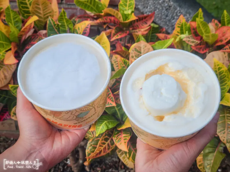 南投市德意冰坊｜南投市傳承4代的冰品，俗擱大碗的冰品，來南投必吃～