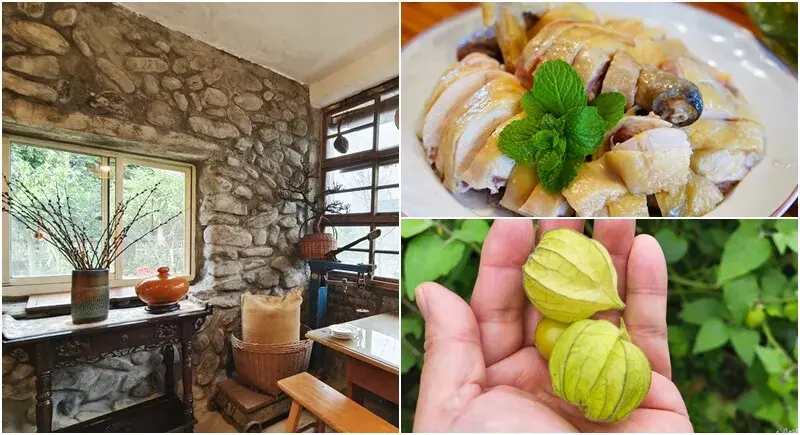 樂田蔬食石頭厝》宜蘭百年老宅無菜單料理，隱藏鄉間預約制農家合菜，還有鞦韆 陀螺 開心農場可以玩，宜蘭三