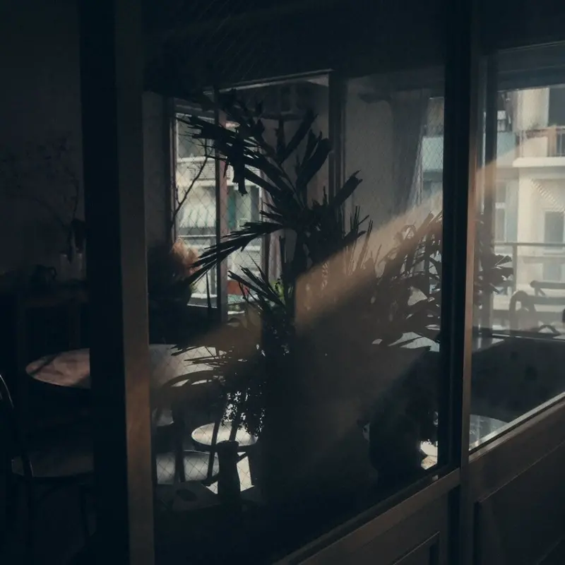 【台南 中西區】復古又寬敞的咖啡廳 不能錯過午後的陽光