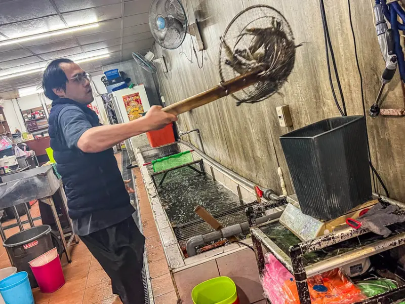 三民路泰國蝦｜接地氣！大排檔式活蝦餐廳，俗又有力好吃到舔手指