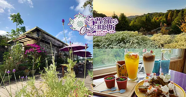 【台中景觀餐廳】新社普羅旺斯庭園餐廳(寵物友善景觀餐廳)，彷彿走入南法普羅旺斯有著浪漫異國風情，一起來體驗如雪國般季節限定的白雪木夢幻浪漫美景吧！。台中大坑餐廳