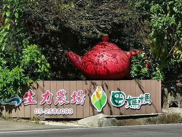 嘉義縣番路鄉(嘉義/番路)阿里山生力農場民宿&田媽媽景觀餐廳