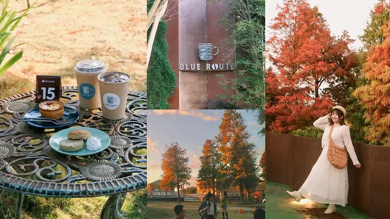 台中大肚｜宛如國外落羽松圍繞整個園區，夕陽西下氛圍感滿滿｜布魯諾咖啡