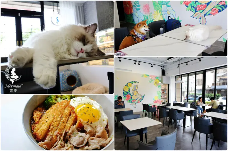 Mermaid茉美寵物友善餐廳，桃園蘆竹新開幕的寵物咖啡廳，超美小清新風，店貓店狗會不定時輪班坐檯呦