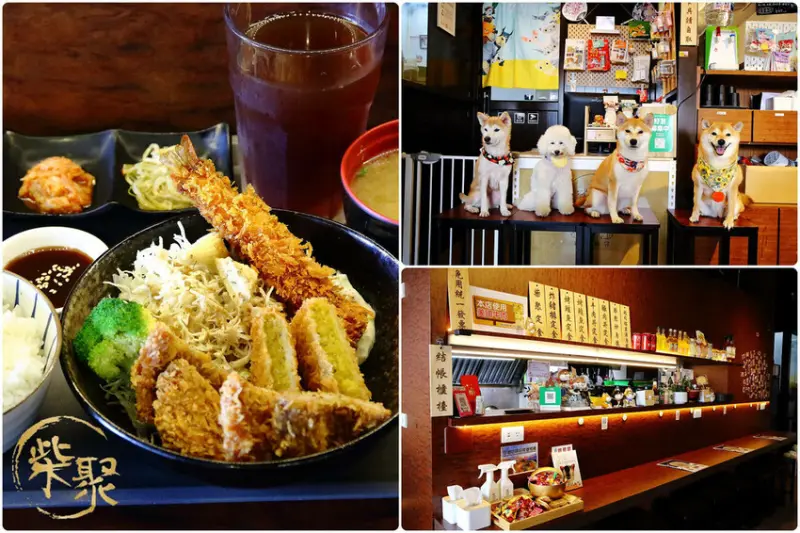 柴聚小吃。中壢寵物友善餐廳，最萌柴柴陪吃陪玩，狗派的朋友們注意啦！