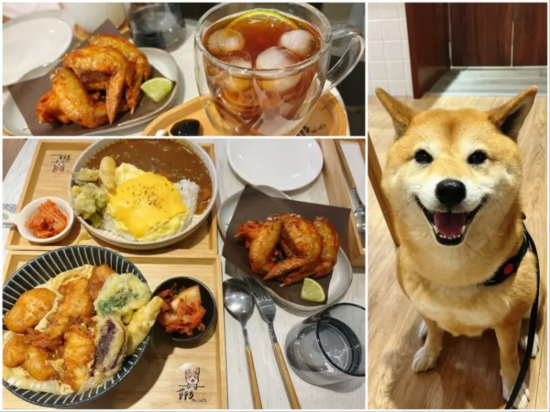 桃園市中壢區桃園青埔高質感寵物咖啡廳-莫平方寵物咖啡 mo² caf’e，超可愛店貓任你摸，還有一隻柯基店狗！假日放鬆喝咖