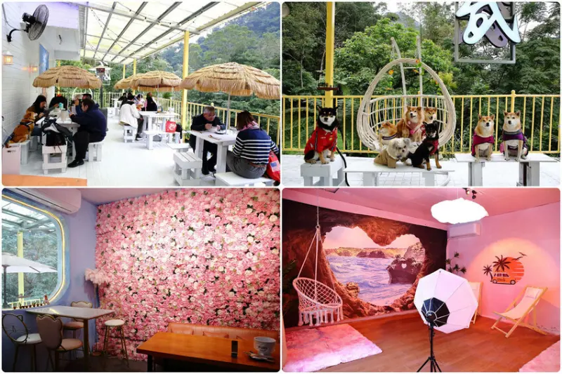 石碇秘境，武林逸亭網美景觀餐廳，寵物友善餐廳、夢幻的網美佈置，石碇輕旅行〜