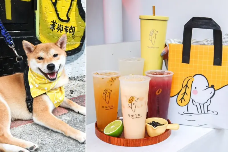 茶與布朗｜四月環保日帶毛小孩消費打卡免費送超可愛寵物領巾 – 艾瑞絲的吃貨日常