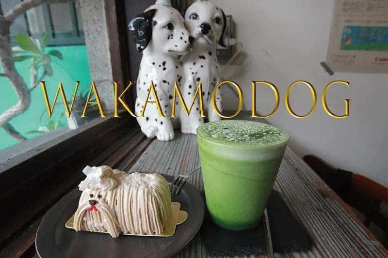 台南市中西區吃。台南市｜中西區。「Wakamodog」置身巷弄老宅寵物友善餐廳，全台灣最療癒狗狗主題咖啡廳，主打馬爾濟斯