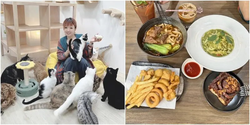 新竹縣竹北市想要享受被貓咪寵愛包圍著的感覺嗎？😽 有貓中途餐廳有吃、有喝又可以撸貓🐈🐈--跟著踢小米吃喝玩樂趣