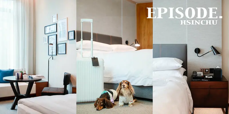 【東區/住宿】來到新竹絕對不能錯過的超級寵物友善飯店-EPISODE Hotel 新竹伊普索酒店