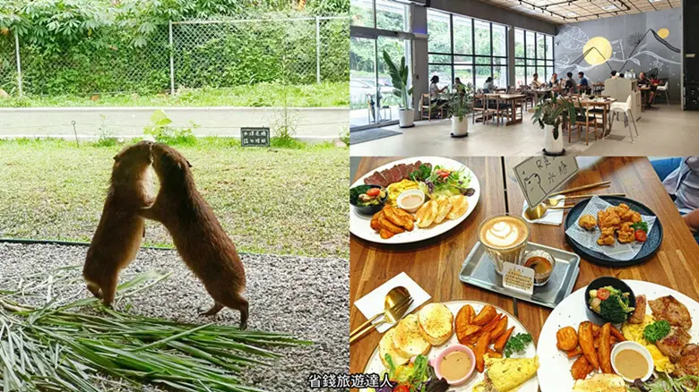 南投縣埔里鎮埔里新景點｜享日啡啡水豚主題餐廳,日月潭中繼站,有吃有玩好療癒