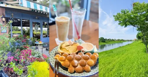 宜蘭縣冬山鄉樹樔咖啡》冬山河畔榕樹下的美味咖啡廳、綠色河岸景色怡人