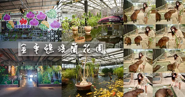 【宜蘭景點】金車礁溪蘭花園(寵物友善景點)，來與最夯的小動物呆萌水豚君互動，可以餵食、摸摸、刷毛實在是太可愛太療癒了，還有貓星人、狐獴可互動。宜蘭親子旅遊景點