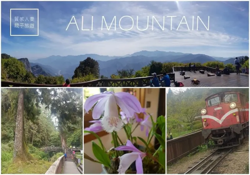 【嘉義景點】阿里山森林遊樂區行程分享,親子三天兩夜規劃:看日出/看櫻花/坐火車/步道推薦