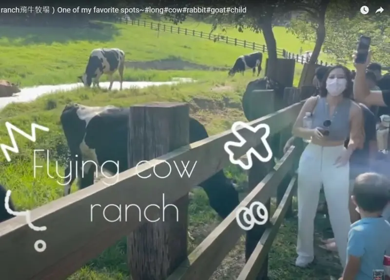 假日親子好去處~飛牛牧場Flying cow ranch - Mr.globalwriter