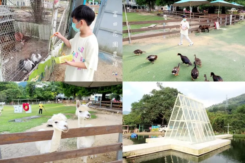 水上玻璃教堂.草泥馬.小兔子.羊咩咩.咕咕雞.喵星人熱烈歡迎你♥富田花園農場♥【桃園親子景點】