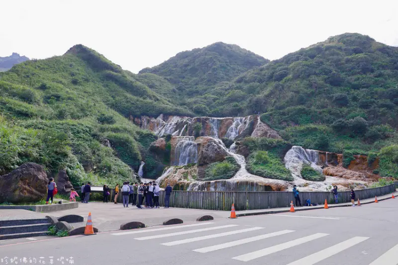 黃金瀑布/珍妮佛的花草呢喃  提供