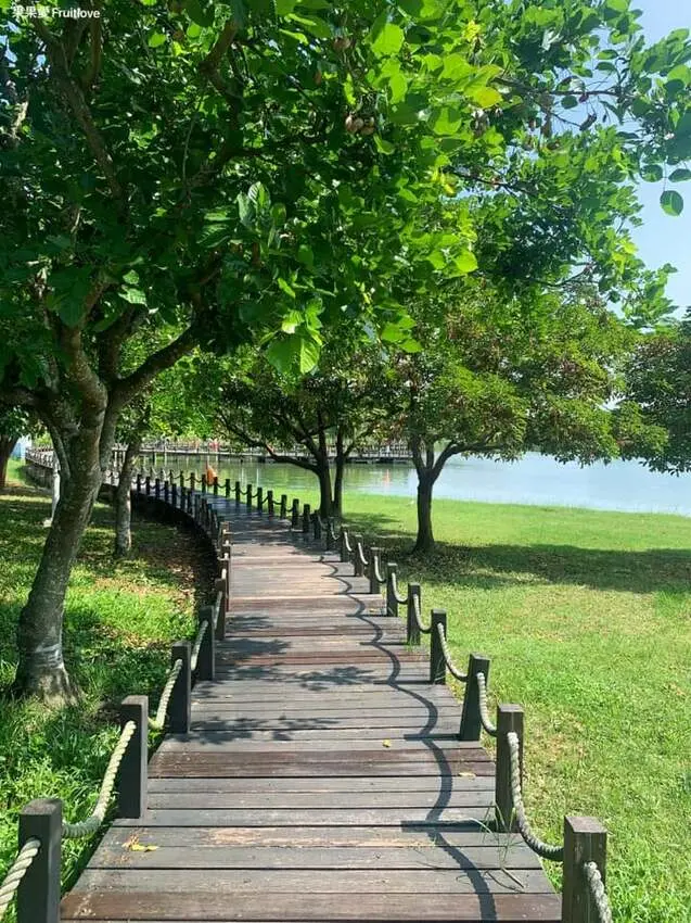 台南寵物友善戶外景點-奇美博物館