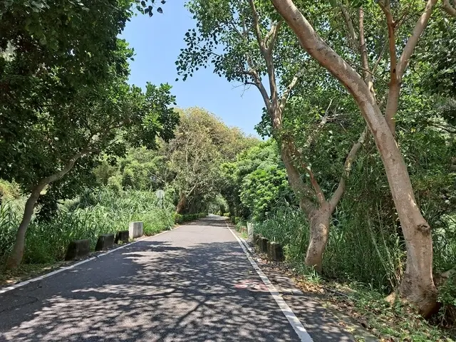 親子遊記 夏天懶人的旅行  騎電動腳踏車遊新屋綠色隧道 永安漁港吃海鮮