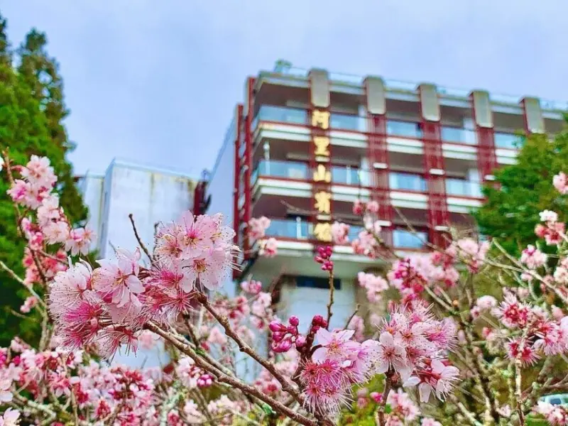 2023阿里山住宿推薦阿里山賓館優惠、現代館和歷史館介紹，一泊二食帶你看房間價格、特色房型、住宿評價