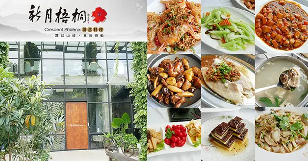 【苗栗景觀餐廳】新月梧桐三義店(寵物友善景觀餐廳)，融合客家料理與西洋料理的華洋料理，映入眼簾的是漂亮玻璃屋，庭園讓人有身處森林之感。苗栗餐廳 苗栗客家料理