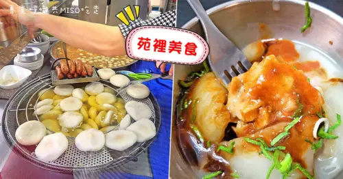 【苑裡美食】金光肉圓 ➤ Q彈外皮搭配鮮筍肉餡！苑裡銅板小吃，苑裡夜市旁！垂坤伴手禮周邊美食！