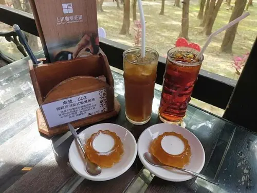 苗栗通霄上田咖啡休閒莊園~滿園莊園樟樹~給您滿滿的芬多精~白沙屯拱天宮~