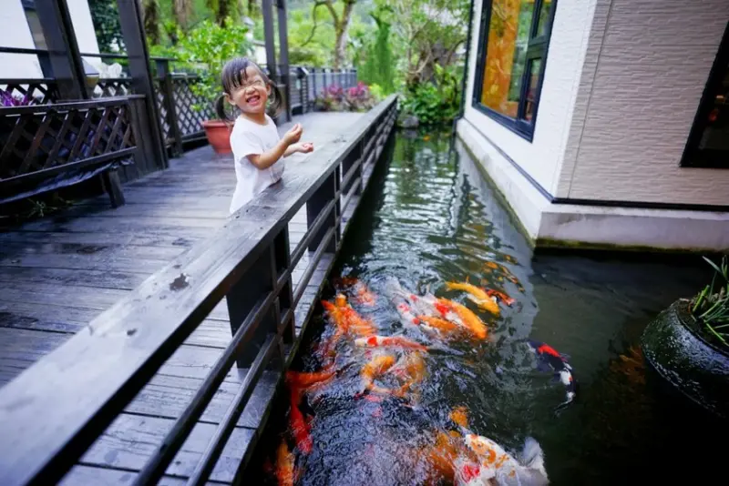 花蓮民宿｜花蓮親子民宿推薦！花蓮鯉魚潭民宿 潭心閣 親子友善、螢火蟲住宿推薦！小孩最愛的餵魚民宿~ - 奇奇一起玩樂趣