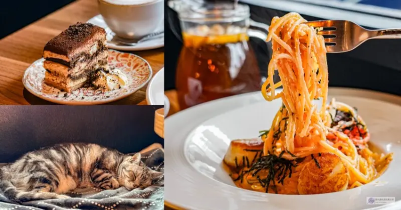 桃園市中壢區桃園中壢美食-突奌咖啡喵-歐式鄉村風格咖啡廳，療癒的貓咪陪伴，義大利麵 咖啡 甜點/鄰近中壢大潤發