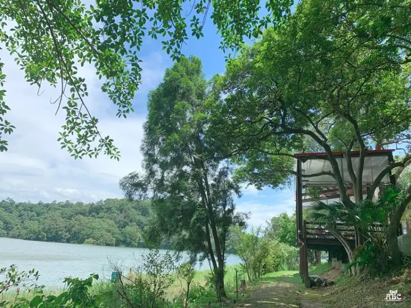 新竹美食景點|森林湖畔秘境！新竹寶山沙湖壢咖啡館漣漪書屋