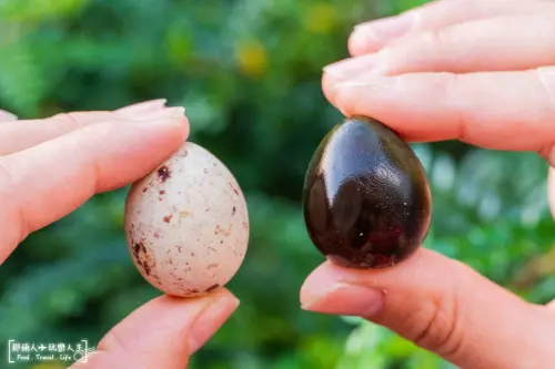 全台灣最小顆的茶葉蛋與鵪鶉皮蛋就是他~