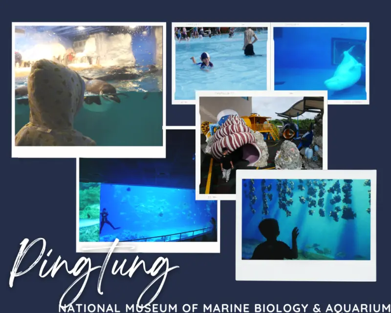 屏東室內景點｜海生館｜屏東玩水