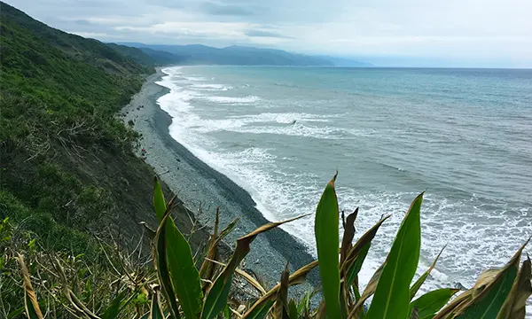 【屏東／台東】阿朗壹古道｜如幻境的海岸原始森林