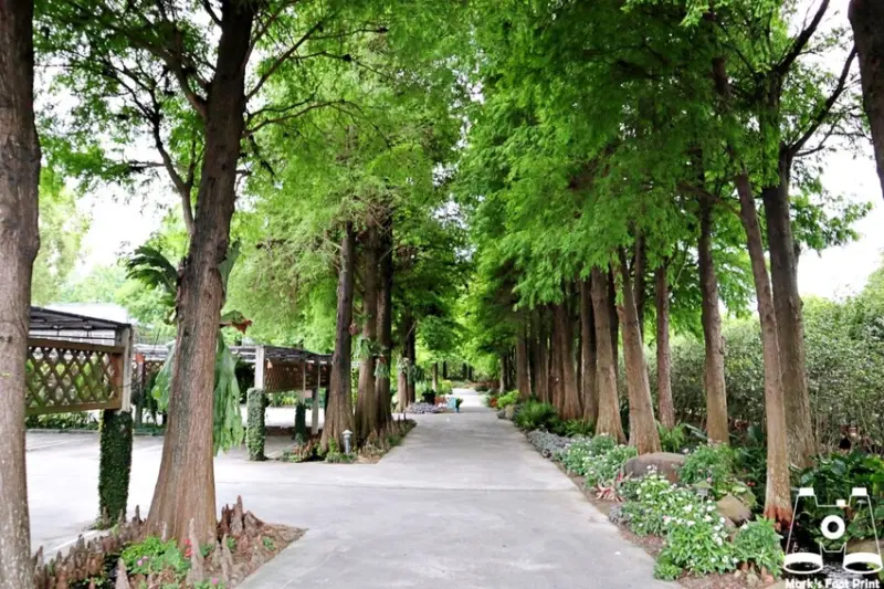 彰化田尾景觀餐廳推薦｜菁芳園花園餐廳，森林系咖啡廳 - 馬克的足跡