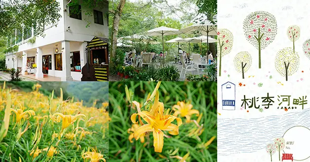 【台中景觀餐廳】桃李河畔(寵物友善景觀餐廳)，一年四季有著不同的花海景觀，徜徉在大自然懷抱中走在充滿綠意的步道，享受森呼吸的美好！。新社景觀餐廳 金針花海