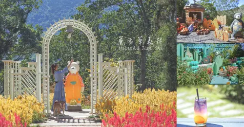 新竹尖石薰衣草森林 日式夢幻繡球花水手舍 火焰花滿開 奇幻南瓜慶典 